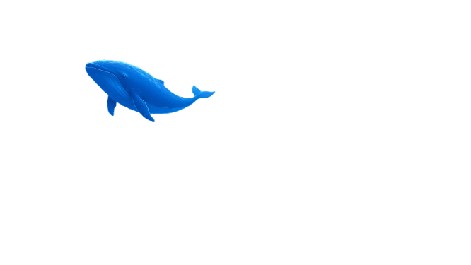 Ocean Whale